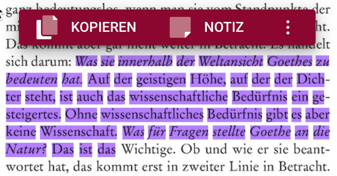 Befehlsleiste über der Textauswahl